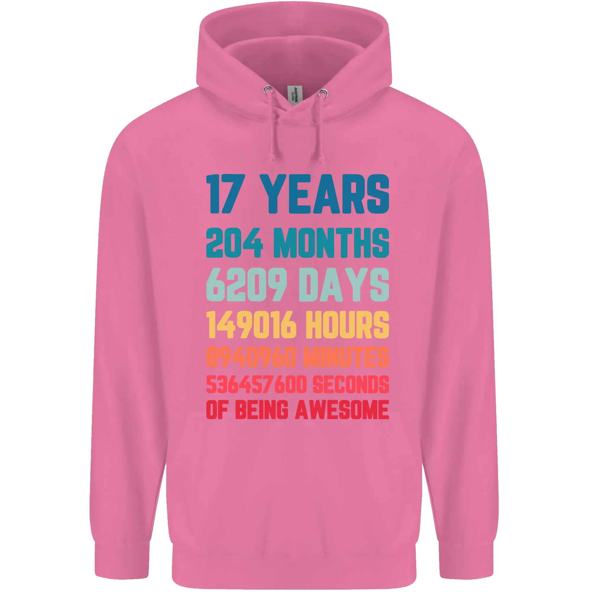 17th Birthday 17 Year Old Mens 80% Cotton Hoodie