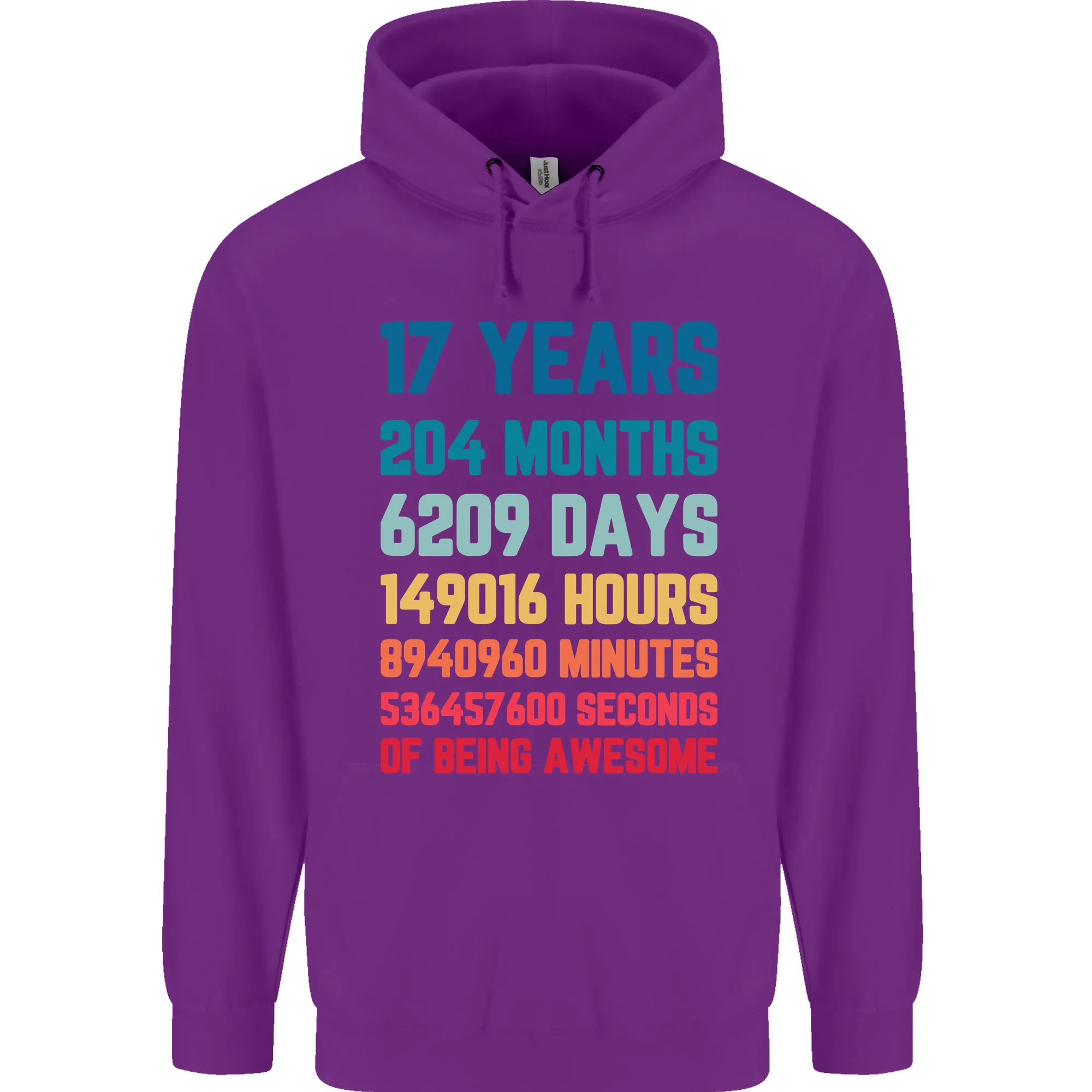 17th Birthday 17 Year Old Mens 80% Cotton Hoodie