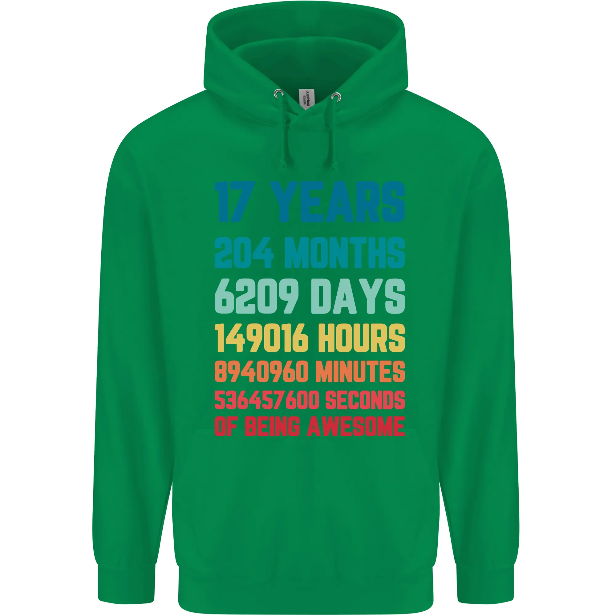 17th Birthday 17 Year Old Mens 80% Cotton Hoodie