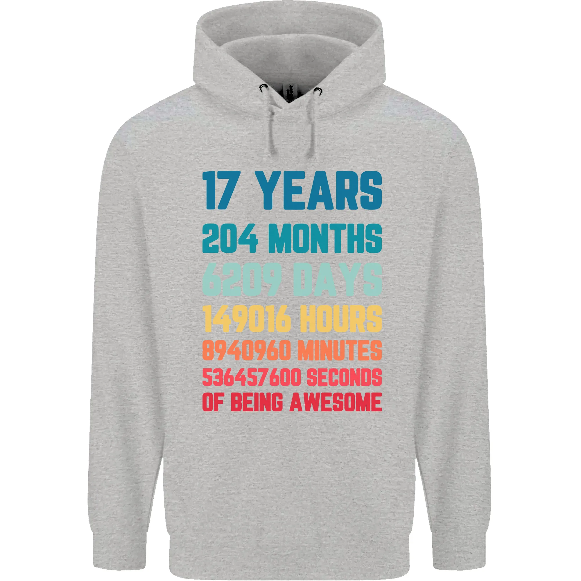 17th Birthday 17 Year Old Mens 80% Cotton Hoodie