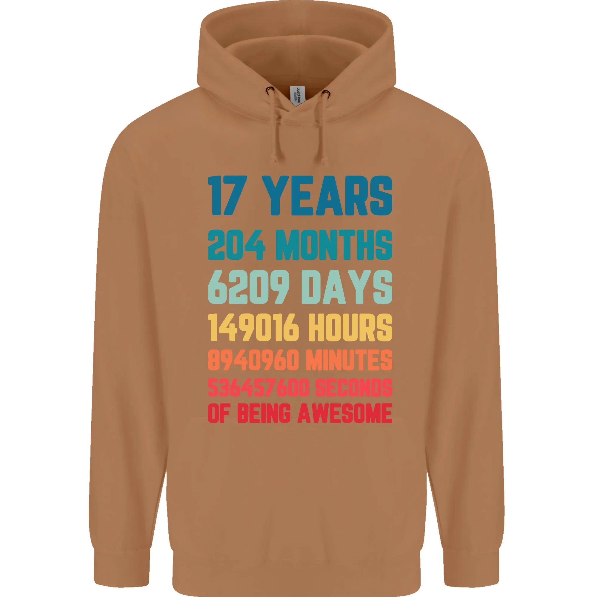 17th Birthday 17 Year Old Mens 80% Cotton Hoodie