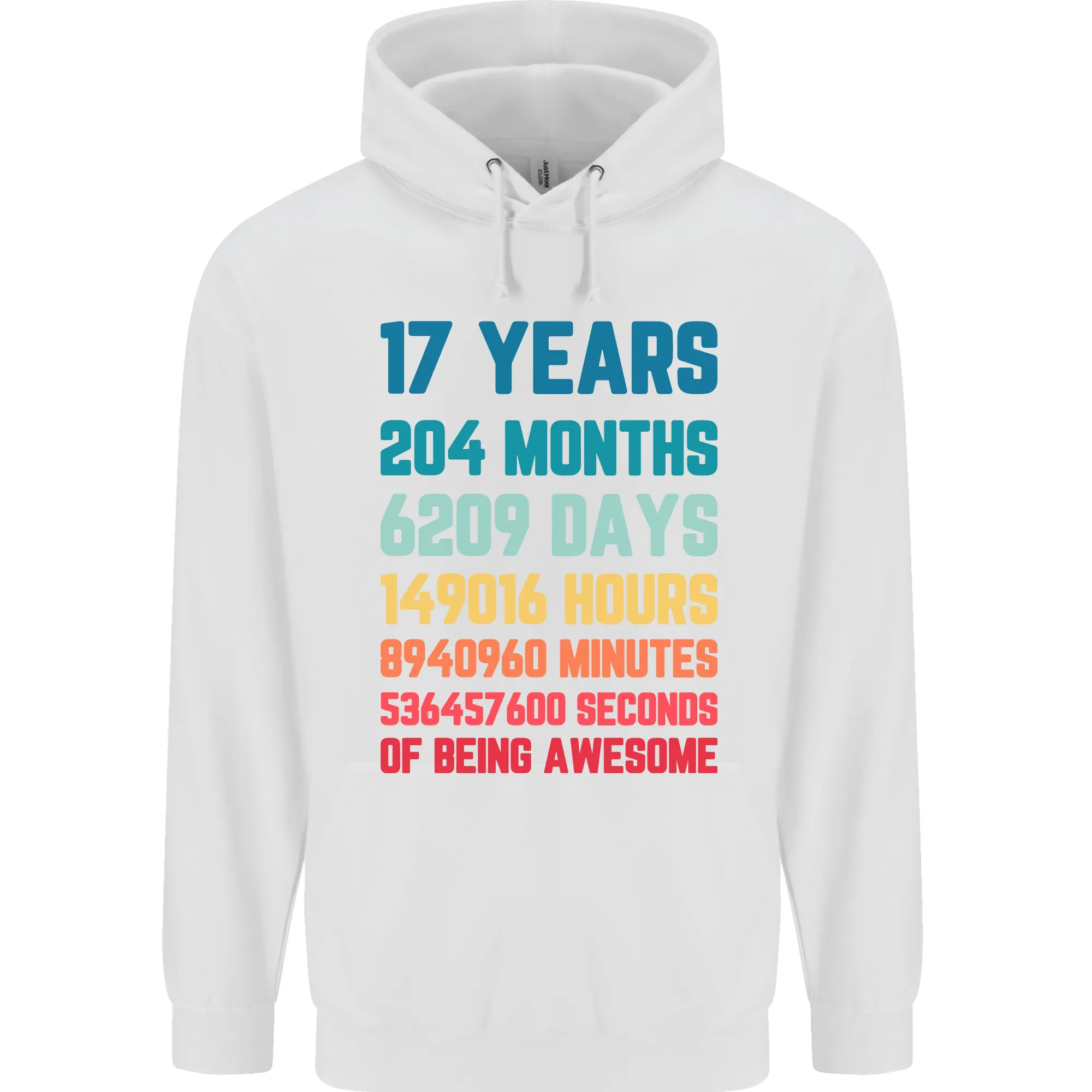 17th Birthday 17 Year Old Mens 80% Cotton Hoodie