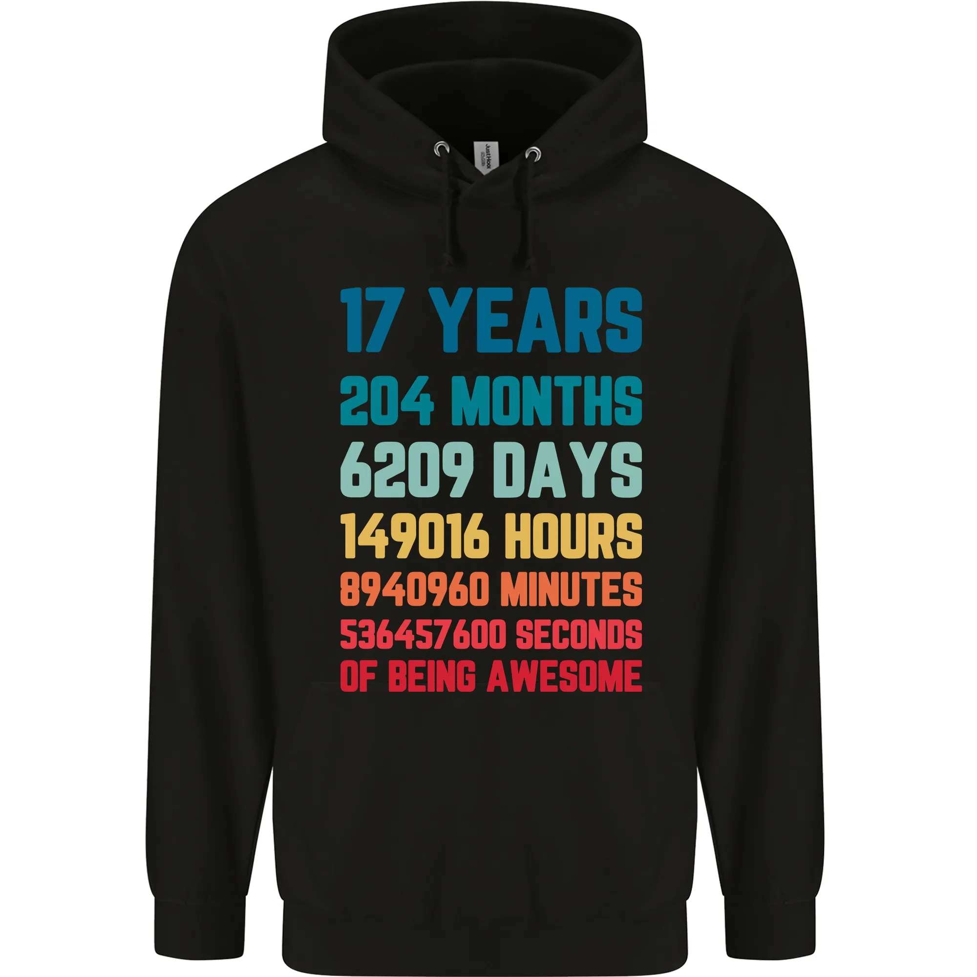 17th Birthday 17 Year Old Mens 80% Cotton Hoodie