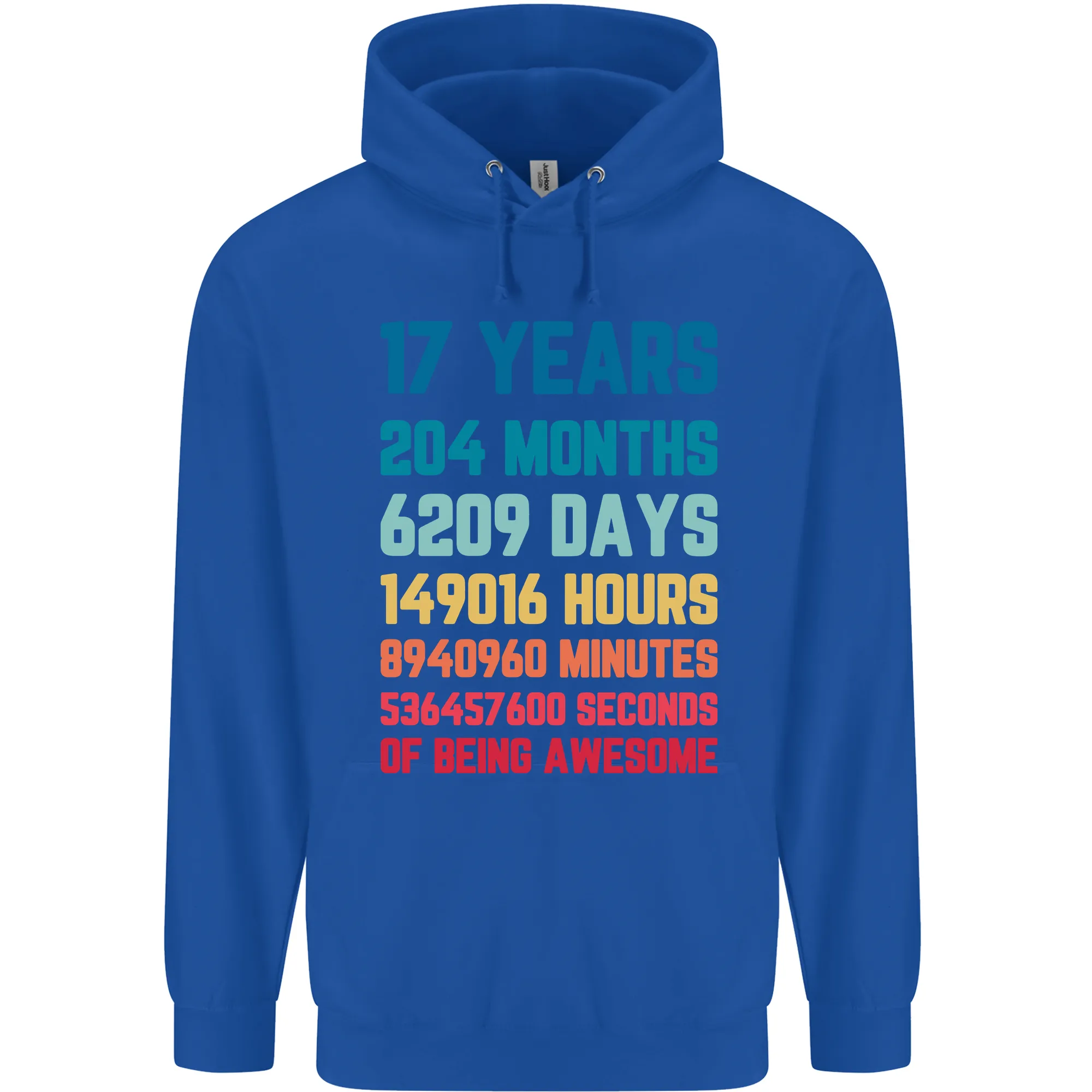 17th Birthday 17 Year Old Mens 80% Cotton Hoodie