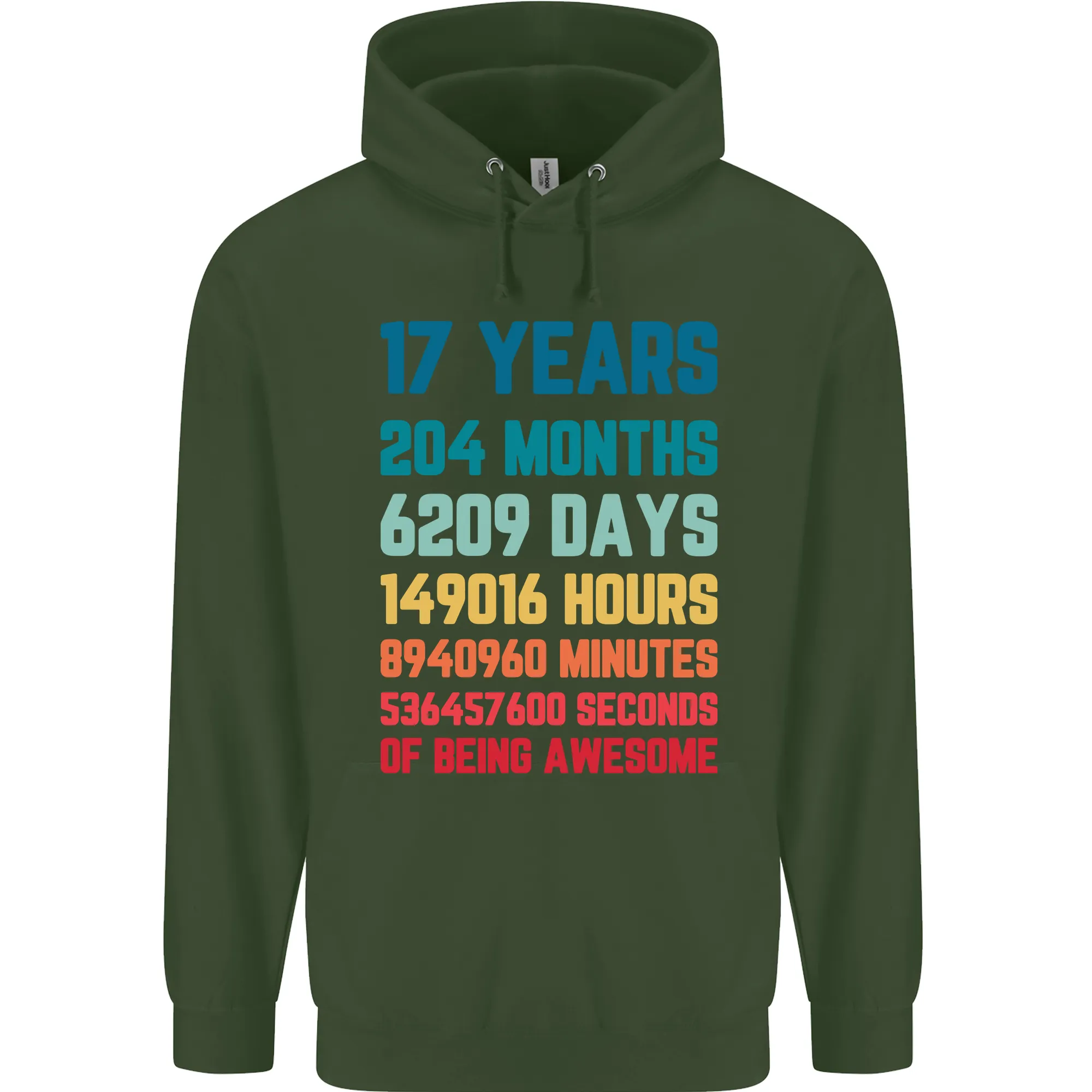 17th Birthday 17 Year Old Mens 80% Cotton Hoodie