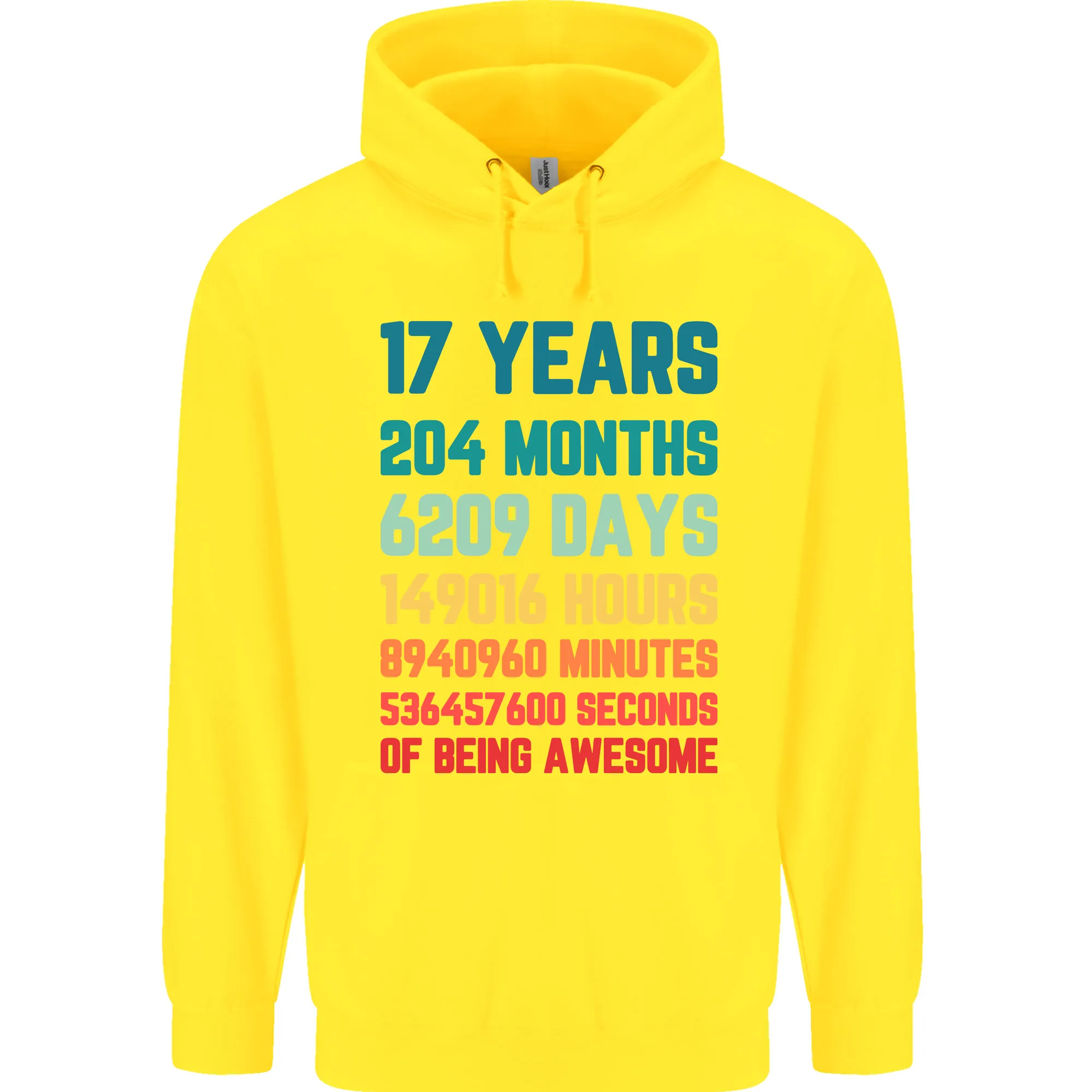 17th Birthday 17 Year Old Mens 80% Cotton Hoodie