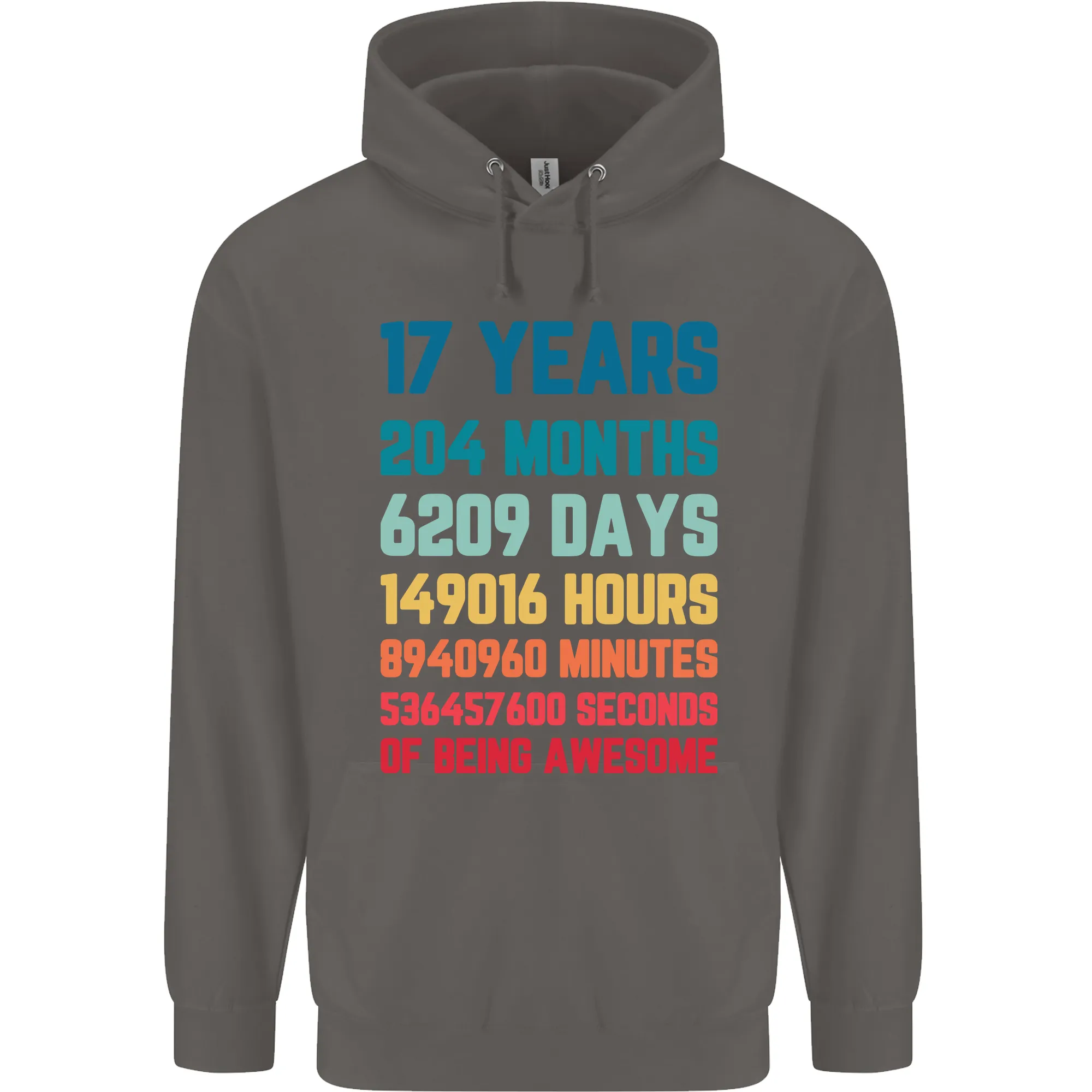 17th Birthday 17 Year Old Mens 80% Cotton Hoodie