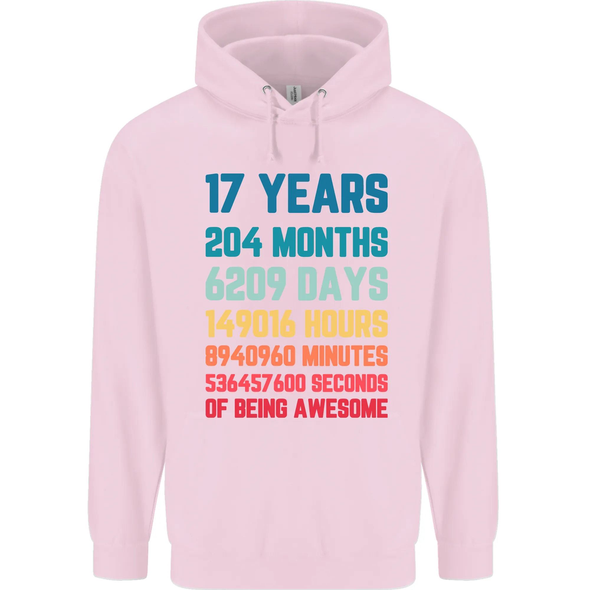 17th Birthday 17 Year Old Mens 80% Cotton Hoodie