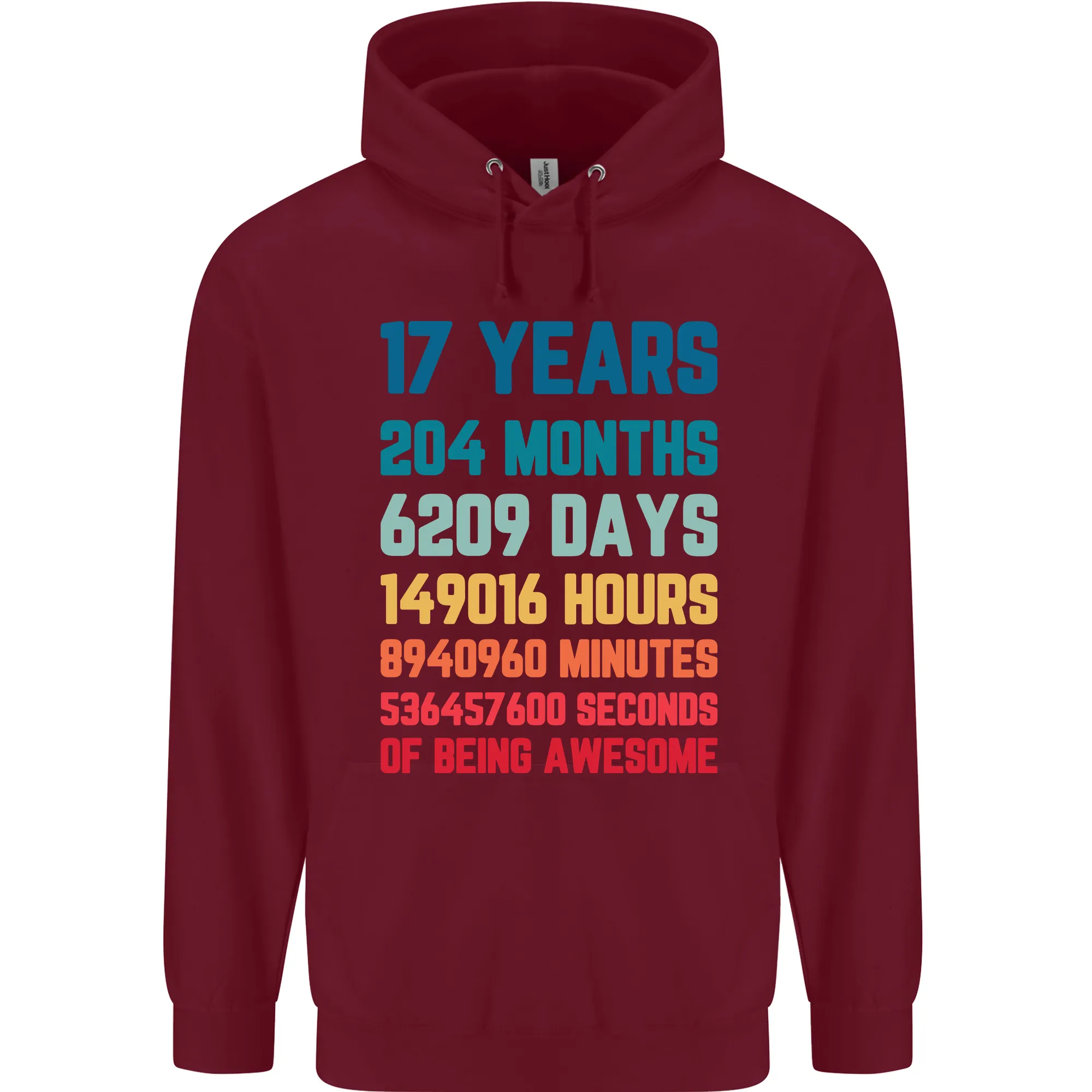 17th Birthday 17 Year Old Mens 80% Cotton Hoodie