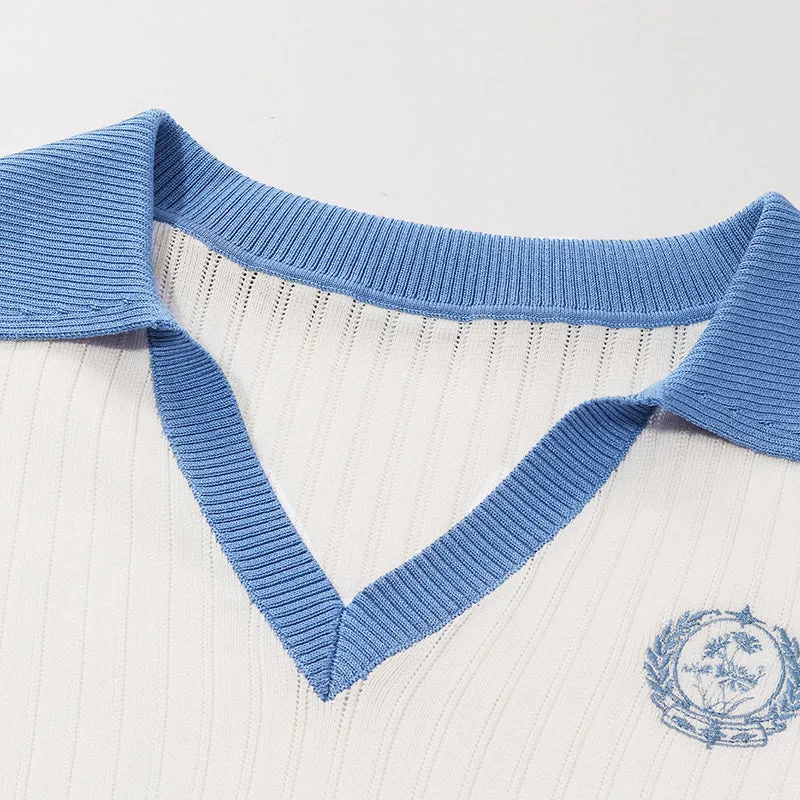 V-Neck Knit Top And Mini Pleated Skirt College Style Two-Piece Set